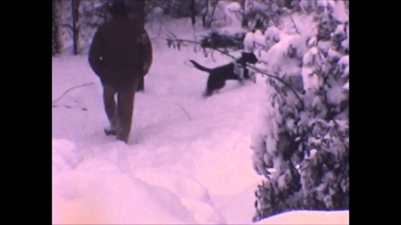Record Snow Fall In Macon Georgia 1973 wmv YouTube