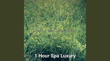 Contemporary Koto and Strings - Vibe for Soul Remedies