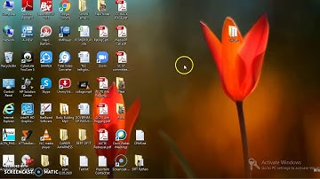 Diploma M-Scheme - Computer Application Practical   - Exercise-1