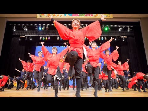 [4K] 大阪大学お祭りダンスサークル 祭楽人　堺よさこいかえる祭り 2018 (中央)