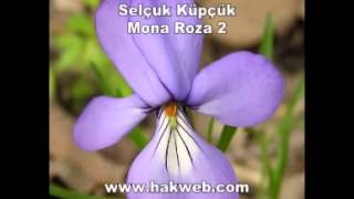 Selçuk Küpçük Mona Roza 2 http www hakweb com Resimi