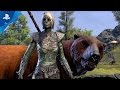 The Elder Scrolls Online Morrowind Warden Gameplay 