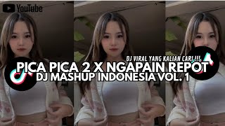 Download Lagu DJ MASHUP INDO Vol.1 - PICA PICA 2 X NGAPAIN REPOT VIRAL TIKTOK 2025 MP3