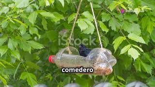 El Conocimiento Es Poder Reciclaje Creativo En Tu Granja