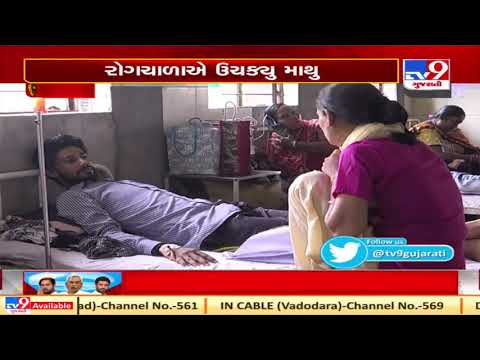 Amid coronavirus, 550 Chikagunya cases reported in Ahmedabad this year| TV9News