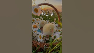 أذكار المساء #2 💛🌸🍃//أجمل حالات واتساب دينيه🌺🌿