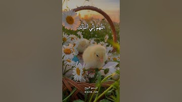 أذكار المساء #2 💛🌸🍃//أجمل حالات واتساب دينيه🌺🌿