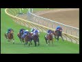 1999 e p taylor stakes