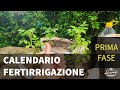 Pomodoro in Vaso [2×3] Dettaglio Fertirrigazione Manuale Settimanale | Prima Fase