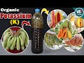 Discover the simple secret to making your own potassium k