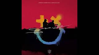 Martin Garrix Feat. Carolina Liar - Smile