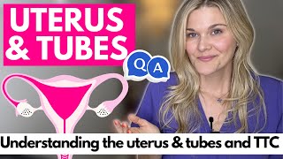 Understanding Your Body: Fertility Doctor Answers Questions About Your Uterus & Tubes & TTC