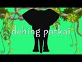 Dehing Patkai | Heavy Budget
