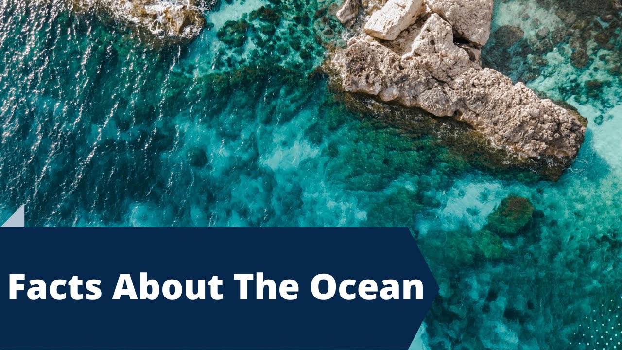 21 Mysterious Facts About The Ocean Ocean Facts YouTube