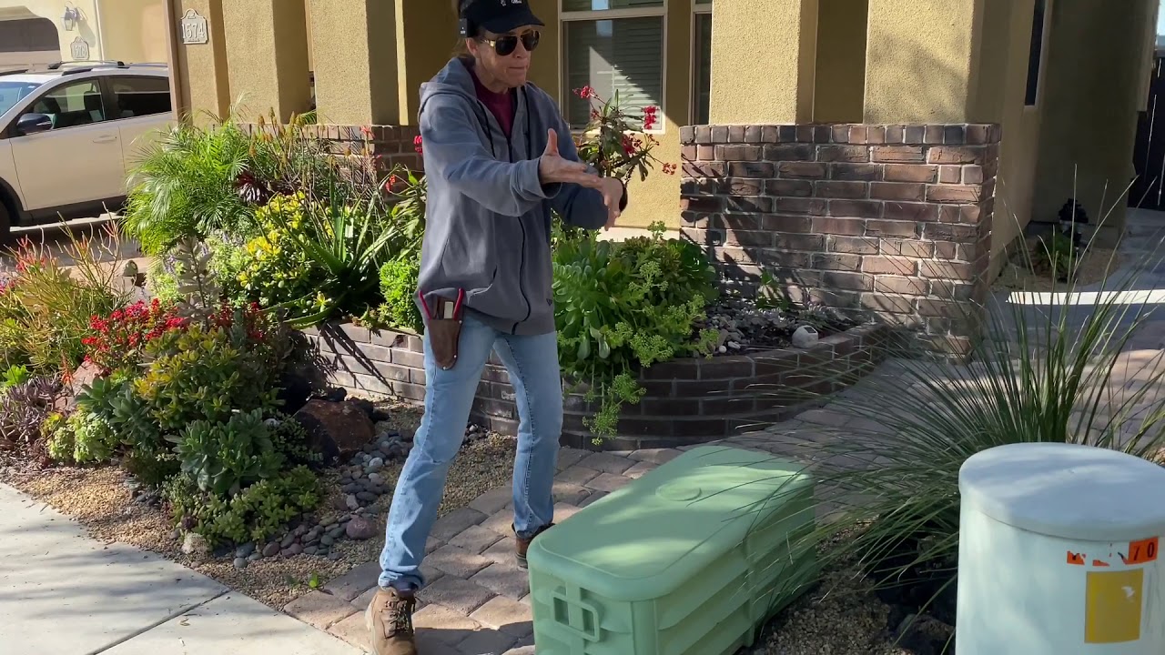 How a Succulent Tapestry Looks Without Maintenance for 2 Years