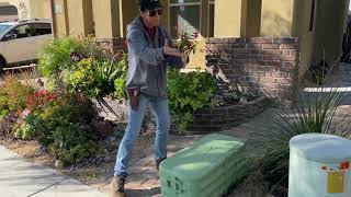 How A Succulent Tapestry Looks Without Maintenance For 2 Years