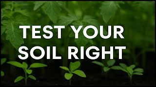 Stop Guessing! Test Your Soil the Right Way for a Healthier Lawn & Garden | DirtConnectionsStore.com