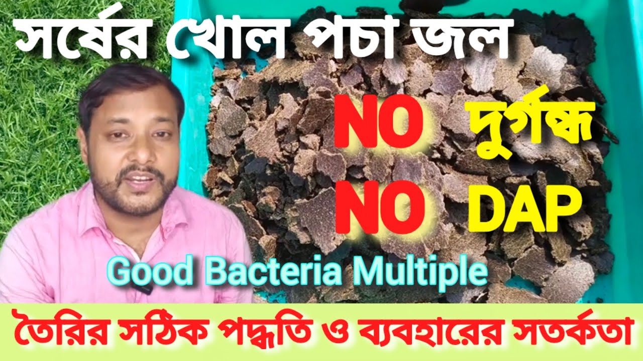 সর্ষের খোল পচা জল কেন গাছে দেবেন?/How to make Mustard Cake Liquid Fertilizer #Barun