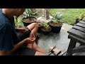 Tutorial Membuat Layangan Mini