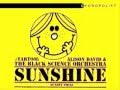 Sunshine   alison david  the black science orchestra   sunset vocal mix