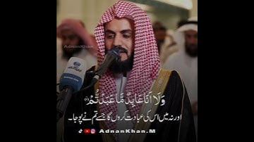 سورة الكافرون رعد الكردي