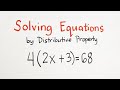 Understanding the Distributive Property in Solving Equations