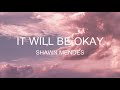 Shawn Mendes - It’ll Be Okay (Lyrics)