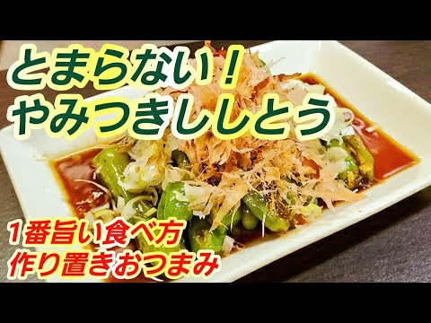 やみつきししとう とまらない これが1番美味しい獅子唐の食べ方 作り置き 常備菜 副菜 簡単節約レシピ おつまみ 夏野菜 免疫力アップ 美肌健康 疲労回復 Youtube