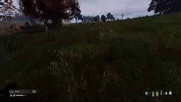 Dayz Alt account