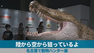 陸から空から狙っているよ 名古屋で動物ハンター展