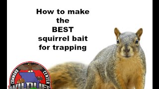 1.1 How to make the BEST squirrel bait for trapping