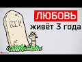 Любовь живет три года. История отношений