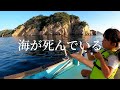 魚がいない…3年ぶりに釣りに行くと海が死んでいた。【落とし込み】