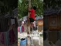 Jamun Khao Ped Pe Chadke #shorts