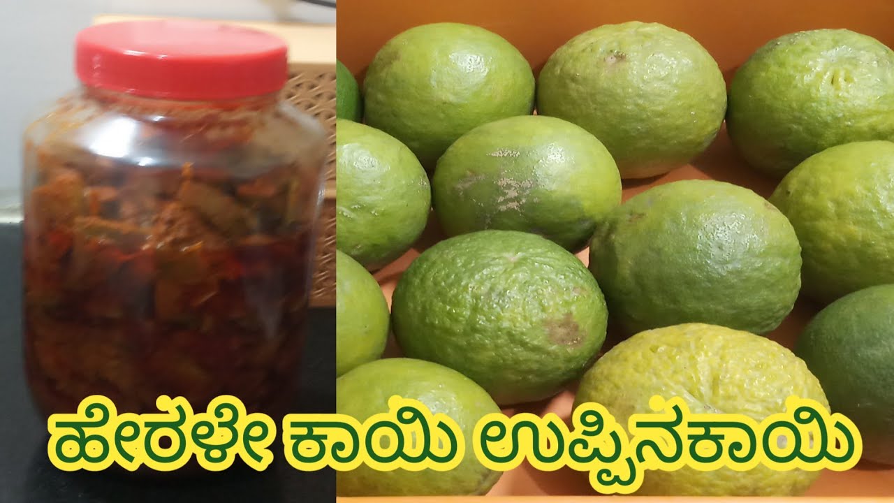 ಇವತ್ತಿನ ವಿಡಿಯೋ 👉 ಹರಳೆ ಕಾಯಿ ಉಪ್ಪನ ಕಾಯಯಿ  # in Kannada # Indirani Indira Vlogs# Channe zodiac