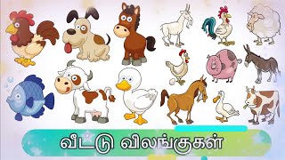 Domestic animal | வீட்டு விலங்குகள் | Domestic animal names in Tamil |  Animals names video for kids - YouTube