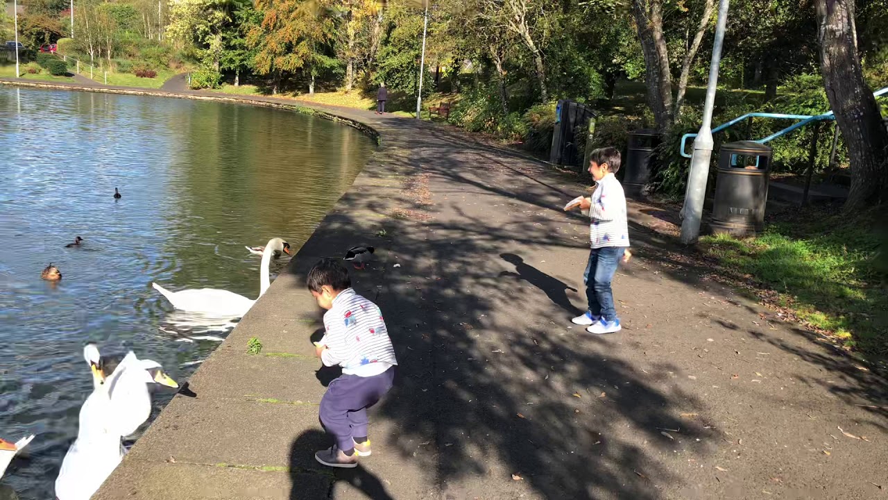 camera iphone 8 plus apk Kids weekend ideas