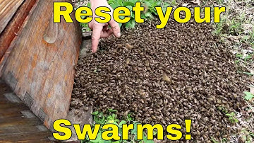 Keep your Swarms from Leaving!