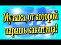 🎼Музыка от которой паришь как птица♻️ [Olga Pak]