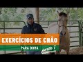 TV UC - Exercícios de chão para doma de cavalos - Parte 1