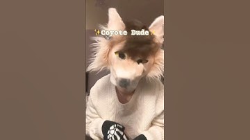 My Coyote Dude!! #therian #therianthrophy #theriangear #furry #fursona #cosplay #costume #coyote