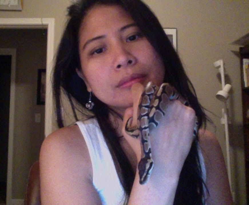 Feeding our baby ball python, Sammy - YouTube