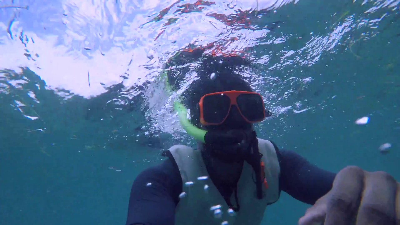 Snorkeling in Biscayne National Park, Florida 4K YouTube