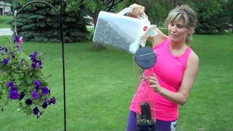 Droll Yankees Yankee Whipper - For the Wild Birds