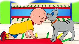 Ruca em português ★ As aventuras de Ruca e Gilbert ★ Caillou Episódio Completo ★ Desenho Animado thumbnail