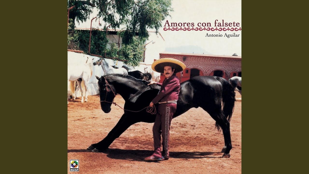 Amores Con Falsete