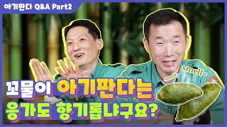 [판다로그] 판다 할아버지가 알려주는 아기판다 Q&A 2편 | 에버랜드 판다월드 (Baby Panda)