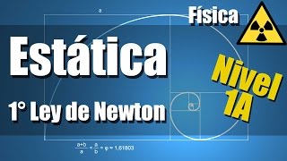 Static Exercises Solved Level 1A  Newton's First Law