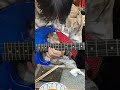 【超絶・悶絶】INHALEのはっしんご来店🎸🔥ウルトラギターテク✨ #guitar #guitarist