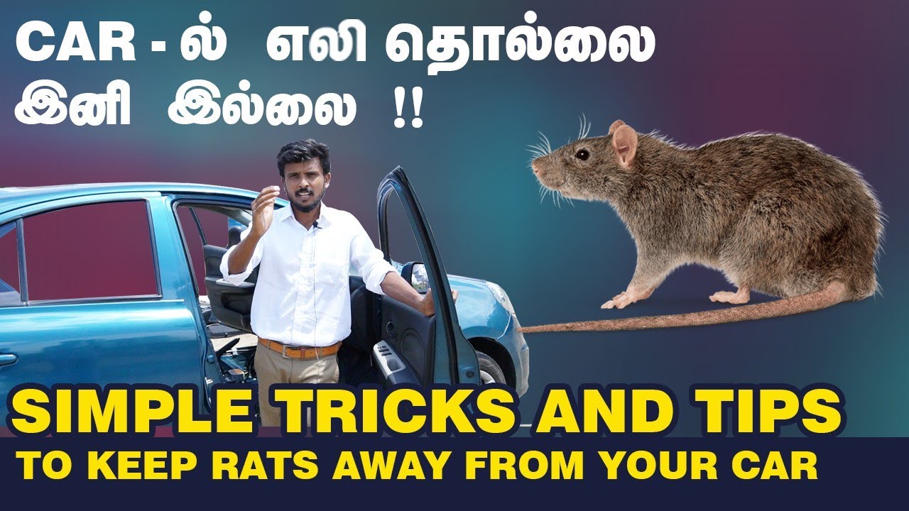 How to protect Cars from rats in Tamil எலி காரில் வராமல் இருக்க